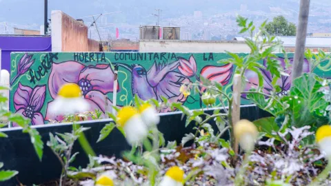 Community garden with plants in the foreground and a colorful mural in the background celebrating nature and collective work in the city.