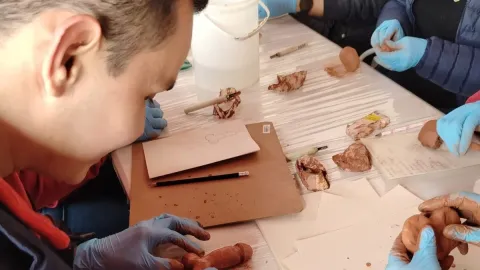  Un grupo de personas modelando arcilla en una mesa, concentrados en su trabajo creativo y colaborativo.