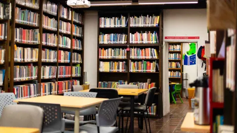 Interior de biblioteca con estanterías repletas de libros y mesas de estudio vacías; al fondo, un mural infantil asoma desde una sala contigua, aportando un toque lúdico al espacio.