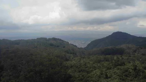 Vista panorámica de montañas y bosques que rodean Bogotá bajo un cielo nublado y amplio paisaje natural.