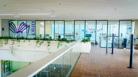 An interior library hallway with glass walls, a view of reading rooms, and a modern design with integrated greenery.