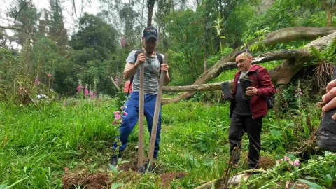 Dos personas en un entorno natural plantan un árbol joven, utilizando herramientas y sosteniendo plántulas en medio de vegetación abundante.