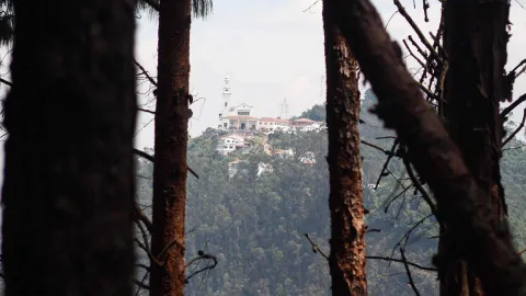  Vista de un santuario en la cima de una montaña, enmarcado por troncos de árboles en primer plano y rodeado de bosque.