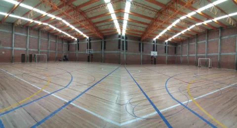 Cancha cubierta multipropósito del Coliseo Cayetano Cañizares, con piso de madera demarcado para diferentes disciplinas deportivas, arcos y tableros de baloncesto, en un amplio espacio destinado al entrenamiento y la competencia.