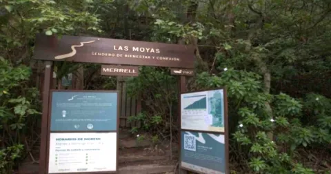 Ingreso al sendero ecológico Las Moyas, con señalización informativa rodeada por abundante vegetación y bosque nativo de los cerros orientales de Bogotá.