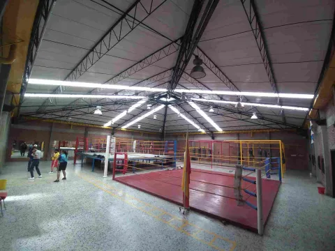 Área de entrenamiento de boxeo del Coliseo Cayetano Cañizares, equipada con varios cuadriláteros y espacios para la práctica deportiva, donde atletas y entrenadores desarrollan actividades de formación y preparación física en un ambiente cubierto y amplio.