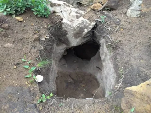 Entrada de una pequeña cueva excavada en tierra y roca, rodeada de vegetación y piedras, en un entorno natural.