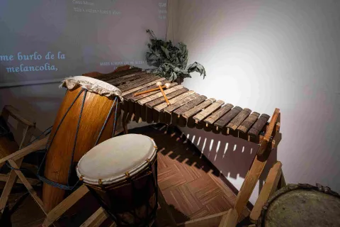 Traditional percussion instruments and a wooden marimba are part of an exhibit dedicated to Afro-Colombian musical and cultural heritage.