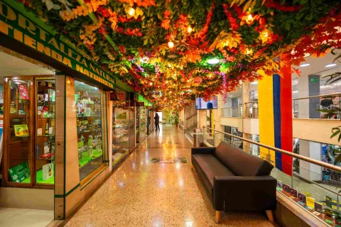 Un corredor de Galerías sorprende con una colorida decoración vegetal en el techo, creando un ambiente llamativo y acogedor para los visitantes.