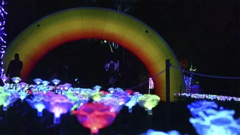 Festival Brilla 2024: los 4 elementos iluminan la Navidad en Bogotá