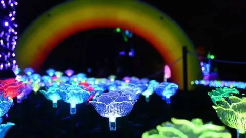 Vive la magia navideña en Bogotá con el Festival Brilla Sueños