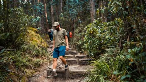 ¿Vienes a la COP 16? ´Bogotá, tu casa´, te recibe con un tesoro natural inexplorado
