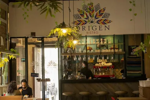  Interior de Origen Bistro con barra, decoración vegetal y ambiente acogedor.