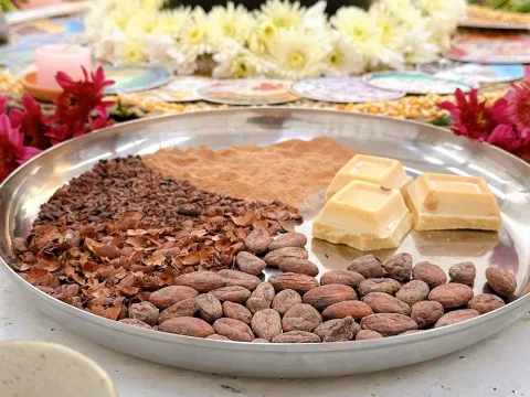 Semillas de cacao y derivados dispuestos en una bandeja para mostrar sus diferentes texturas.