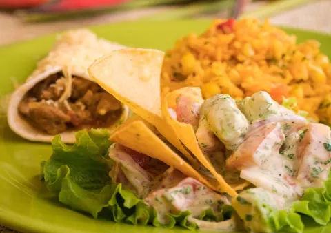 Plato vegetariano con ensalada de papa, arroz con vegetales, chips de tortilla y preparaciones a base de vegetales frescos.