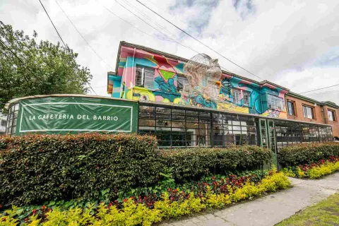 n the San Felipe Art District, surrounded by greenery and a colorful facade adorned with street art.
