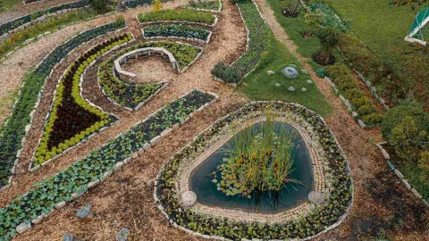 Vista de los jardines del Jardín Botánico de Bogotá, con senderos, cultivos y un estanque rodeado de plantas.