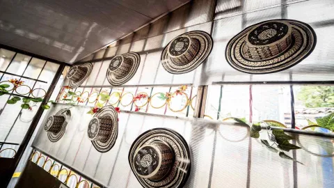 Exhibición de varios sombreros vueltiaos tradicionales dispuestos sobre una pared translúcida con iluminación natural.