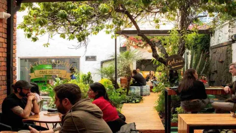 Café Cultor