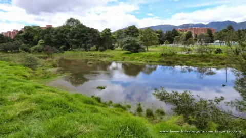 Respira el Agua: una pausa para reconectar con la naturaleza