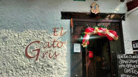 El Gato Gris 