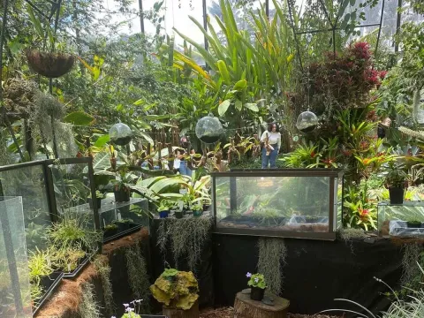 Espacio interior lleno de plantas tropicales, jardines colgantes y vitrinas de exhibición, donde los visitantes recorren un ambiente natural.