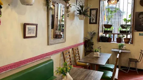Interior de restaurante con sillas de madera, banqueta verde, plantas de adorno y cuadros en paredes de tono cálido.