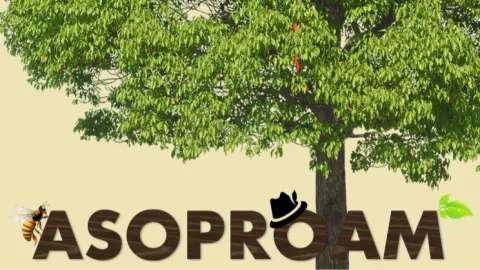 ASOPROAM Asociación de productores agropecuarios ambientales rurales 