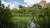 Wetlands