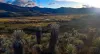 Nature Retreats