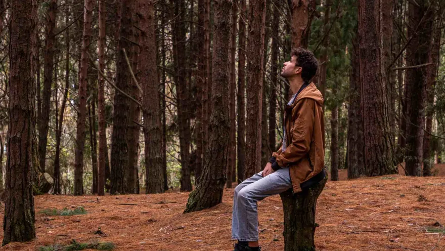  Sendero Quebrada La Vieja con hombre joven sentado en tronco en medio de árboles de color rojizo.