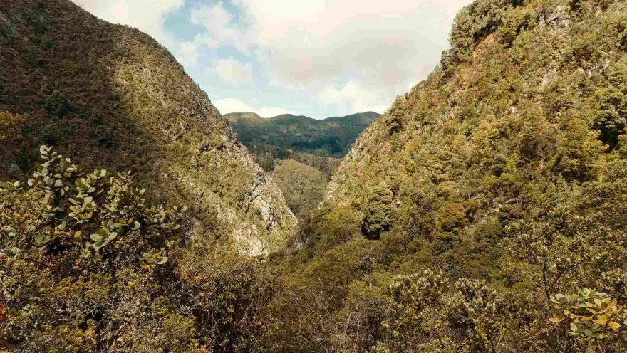Sendero San Francisco - Vicachá vista entre dos montañas hacia otra montaña. Gran vegetación.