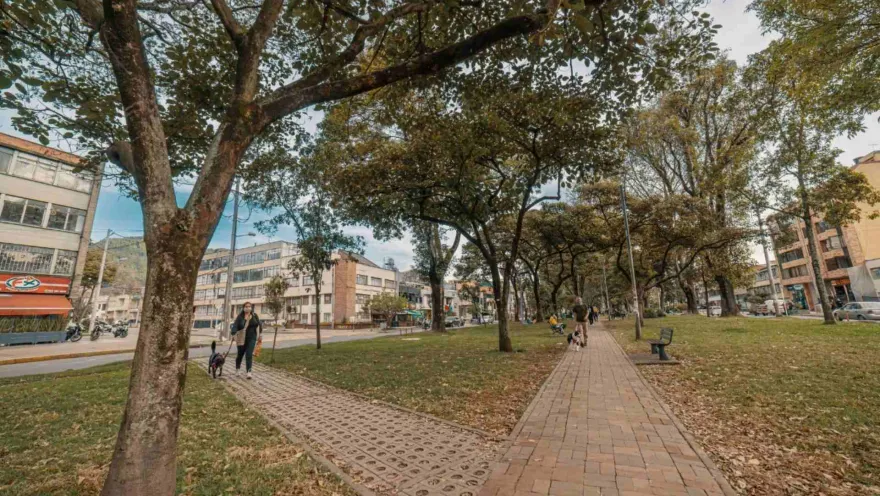 Park Way en vista general del camino de ladrillos rodeado por árboles, personan caminando, una mujer con un perro negro y a los lados edificios comerciales.