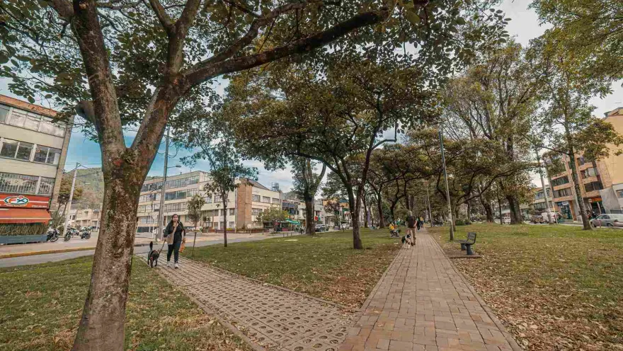 This photograph shows the Park Way park. The space, surrounded by leafy trees and brick pathways, is enlivened by people walking their dogs and enjoying the fresh air. Brick and concrete buildings peek out in the background, blending nature with urban architecture.