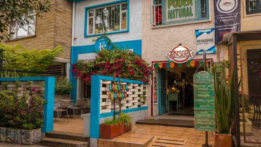 En primer plano, se ve la entrada de 'Especia Humana', un negocio con una estética artesanal y un letrero de madera que anuncia productos naturales. Al lado, el local de "Té" tiene una fachada blanca y turquesa decorada con una explosión de buganvilias. 