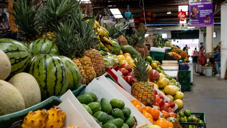 Esta imagen panorámica muestra un mercado de frutas lleno de color y abundancia. En primer plano, se ven montones de melones, sandías, piñas, mangos, aguacates y otras frutas tropicales, todas cuidadosamente dispuestas en cajones y canastas. Al fondo, se pueden ver más puestos de frutas y verduras, así como personas comprando y vendiendo, lo que crea un ambiente animado y bullicioso. La diversidad de colores y texturas de las frutas y verduras es un festín para los ojos