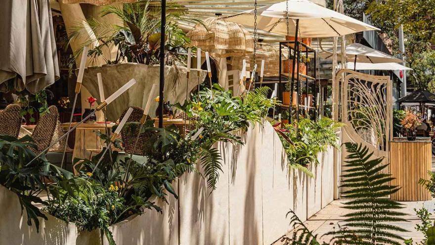 Esta fotografía captura la terraza de un restaurante en la Zona G, con un diseño que evoca un ambiente tropical y relajado. El espacio está decorado con jardineras de cemento en color crema, repletas de helechos y plantas verdes que crean una sensación de oasis. Las lámparas de mimbre colgantes y las sillas de madera tejida aportan un toque rústico y natural. Las sombrillas de color crema y los toldos protegen del sol, creando un lugar perfecto para disfrutar de una comida o una bebida al aire libre 