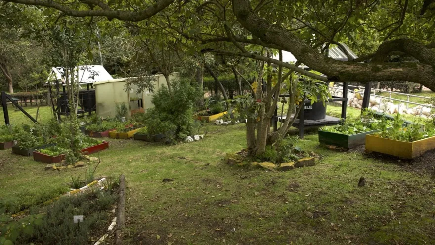Finca con árboles, plantas, sembradío y huerta.