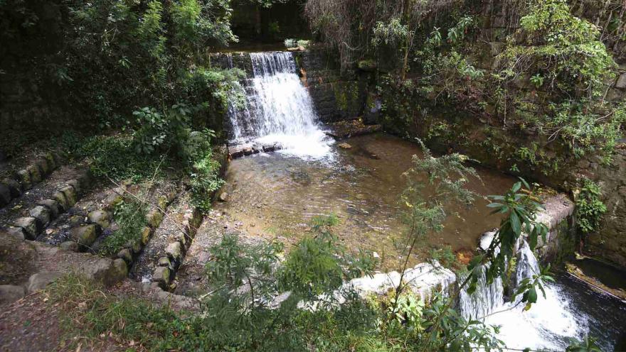 Cascada del río Vicachá de día con vegetación a los lados.