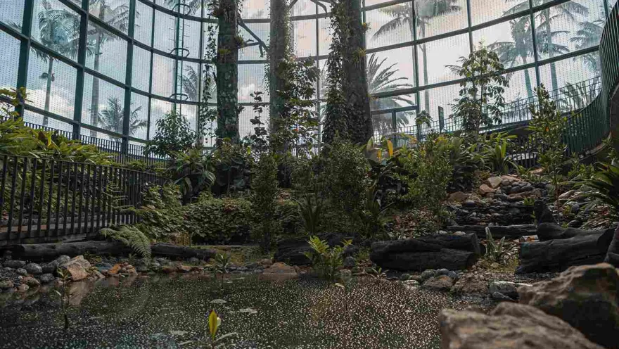Interior of a glass vault containing a tall tree, surrounding vegetation, and still water.