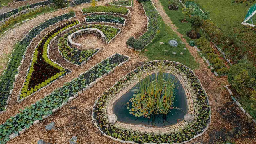 Garden seen from above, with various flowers arranged in circles and rectangles.