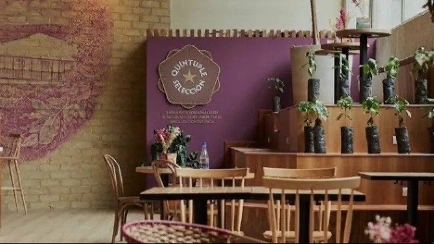 The interior dining room of a restaurant, surrounded by small plants, wooden tables, and chairs.