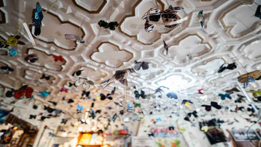 The ceiling of a room, decorated with artificial butterflies and birds in various colors. They are all hanging from strings attached to the ceiling.