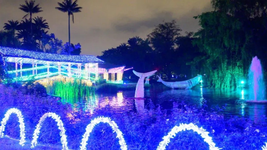  Alumbrados en forma de peces en un lago, en un jardín de noche. 