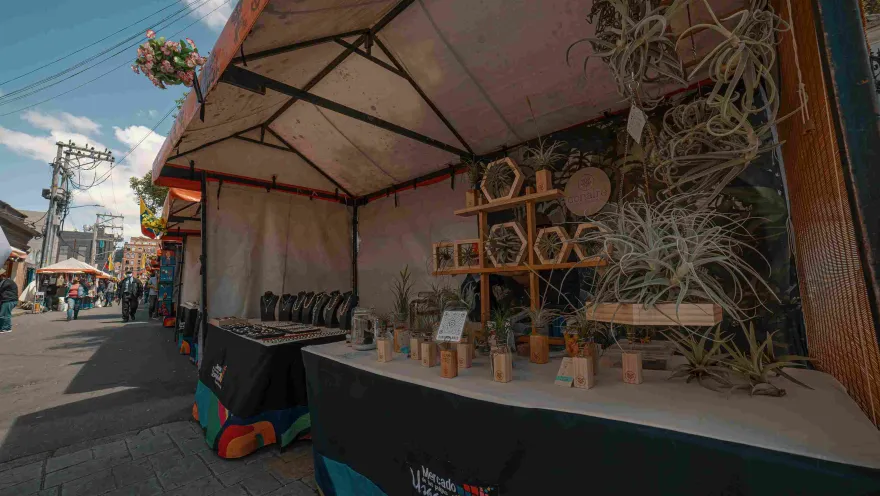 Close-up of a vendor stall displaying handicrafts and plants.