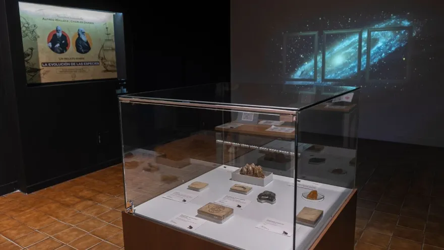 A museum room with a glass display case in the center, where fossils, minerals, and scientific artifacts are exhibited along with informational labels. On one of the walls, a panel dedicated to the theory of evolution features references to Charles Darwin and Alfred Russel Wallace, while a galaxy projection in the background creates an immersive atmosphere. The soft lighting highlights the academic and reflective nature of the space.