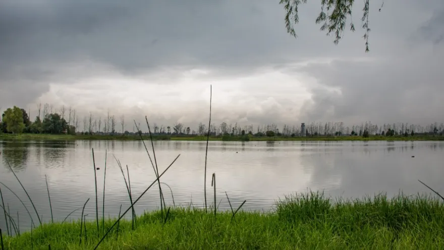 A tranquil lagoon surrounded by green vegetation and reeds in the foreground, under a cloudy sky, with trees and natural scenery in the background.
