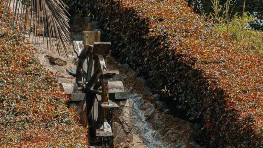 A small wooden waterwheel powered by water in a canal surrounded by shrubs and ornamental vegetation in a park.