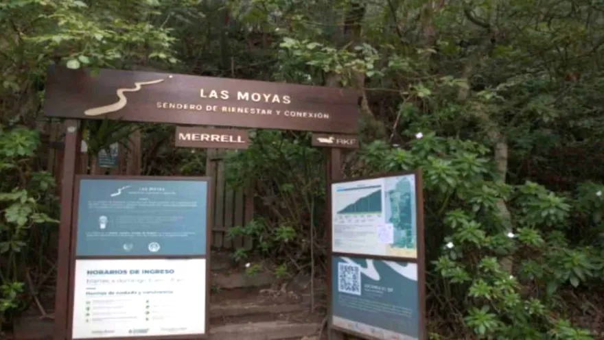 Ingreso al sendero ecológico Las Moyas, con señalización informativa rodeada por abundante vegetación y bosque nativo de los cerros orientales de Bogotá.