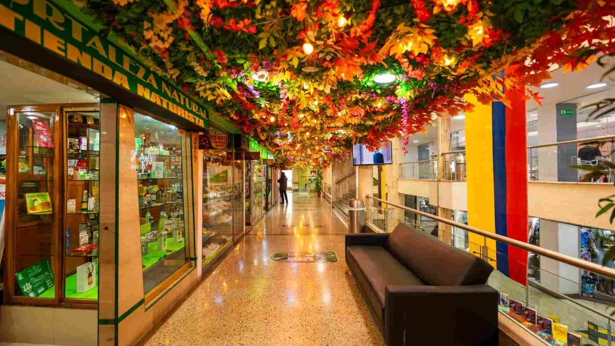 Un corredor de Galerías sorprende con una colorida decoración vegetal en el techo, creando un ambiente llamativo y acogedor para los visitantes.